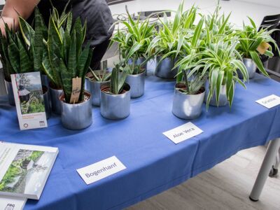 SUSTAINABILITY PROJECT OF OUR APRENTICES