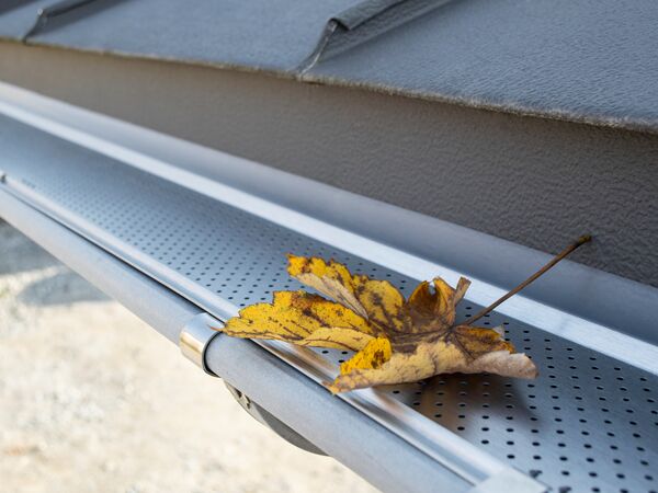 Zambelli Gutter Stark Laubschutzgitter - Dachrinnenschutz 2m Lang Inkl. Halterung