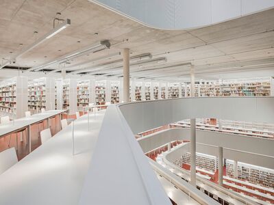 /assets/images/e/Uni_Marburg_2_bear-51d8c292.jpg
