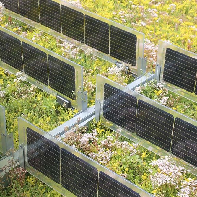 /assets/images/g/Over%20easy%20solar%20vpv%2001-w8chxwtrpr15ah1.jpg