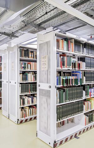 Zambelli Regalsystem Mediathek