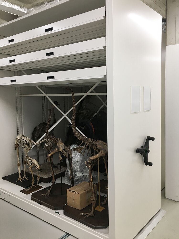 /assets/images/n/Uni-Wien_Biologiezentrum_3-mhphyyesjmb6ebn.jpg