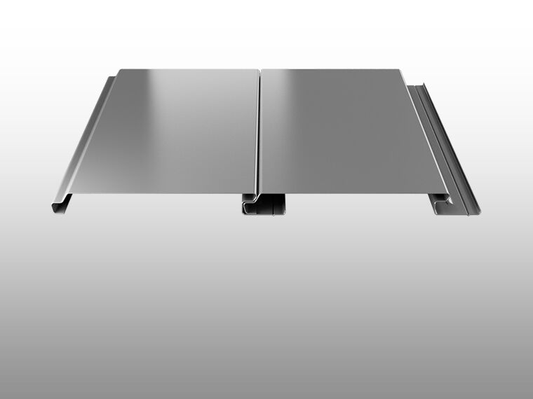/assets/images/v/Bild_800x570_zrr_siding-mbsvdhhykj1cv8v.jpg